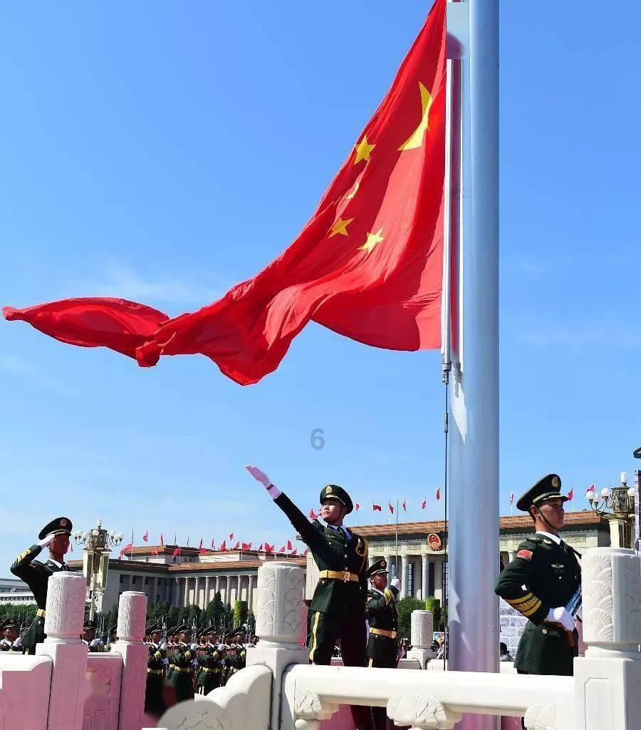 拯救小松鼠